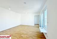 Ein Blick über die Dächer von Wien. 2 Zimmerwohnung mit Terrasse