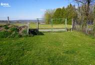 Saniertes Landhaus mit großem Gartengrundstück Nähe Horn