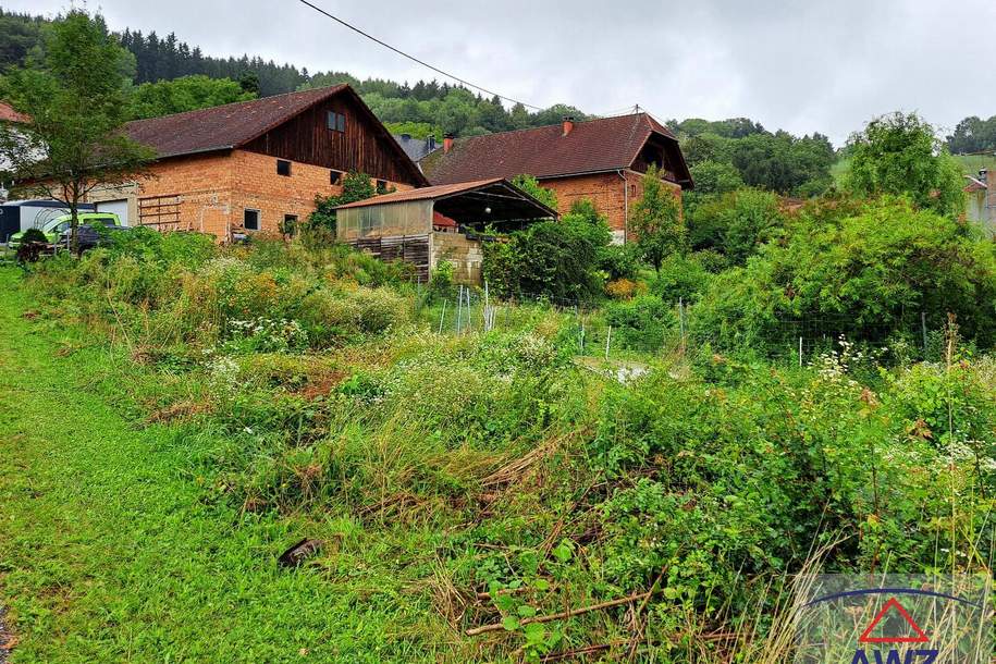 Bauernhof mit ca. 6 ha und Naturverbundenheit!, Haus-kauf, 4731 Eferding