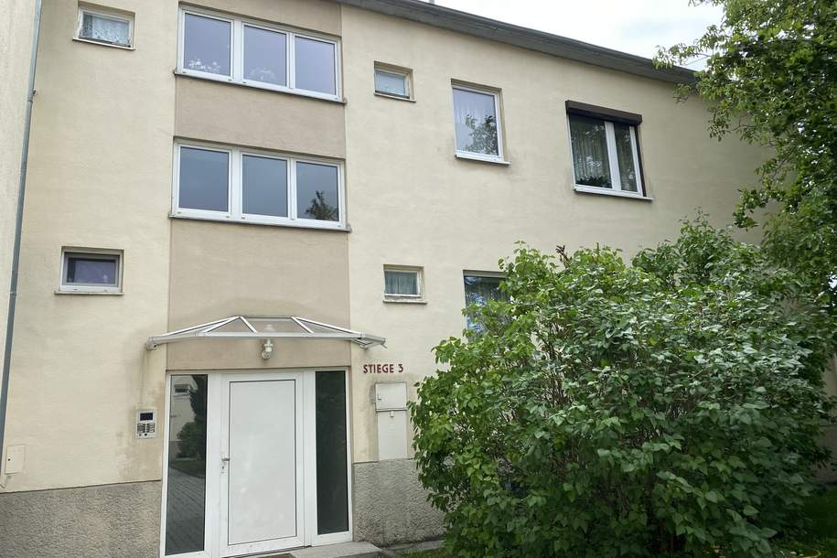 Ruhig aber doch sehr zentral, 2 Zimmer in Pfaffstätten, Wohnung-miete, 754,00,€, 2511 Baden