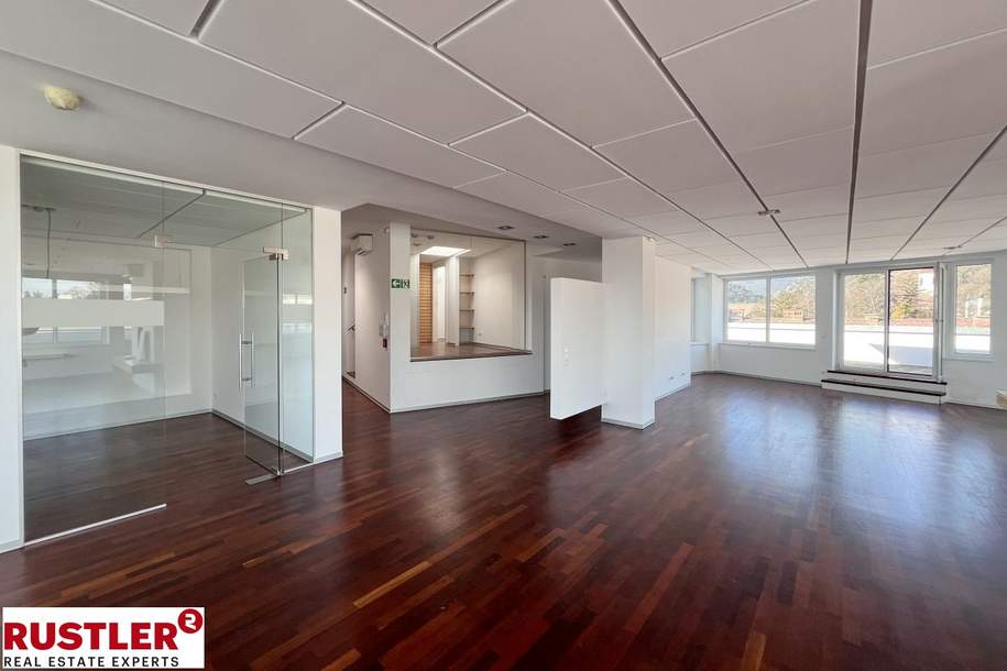 Klimatisiertes Büro mit Terrasse und Rundumblick, Gewerbeobjekt-miete, 5.421,31,€, 2340 Mödling