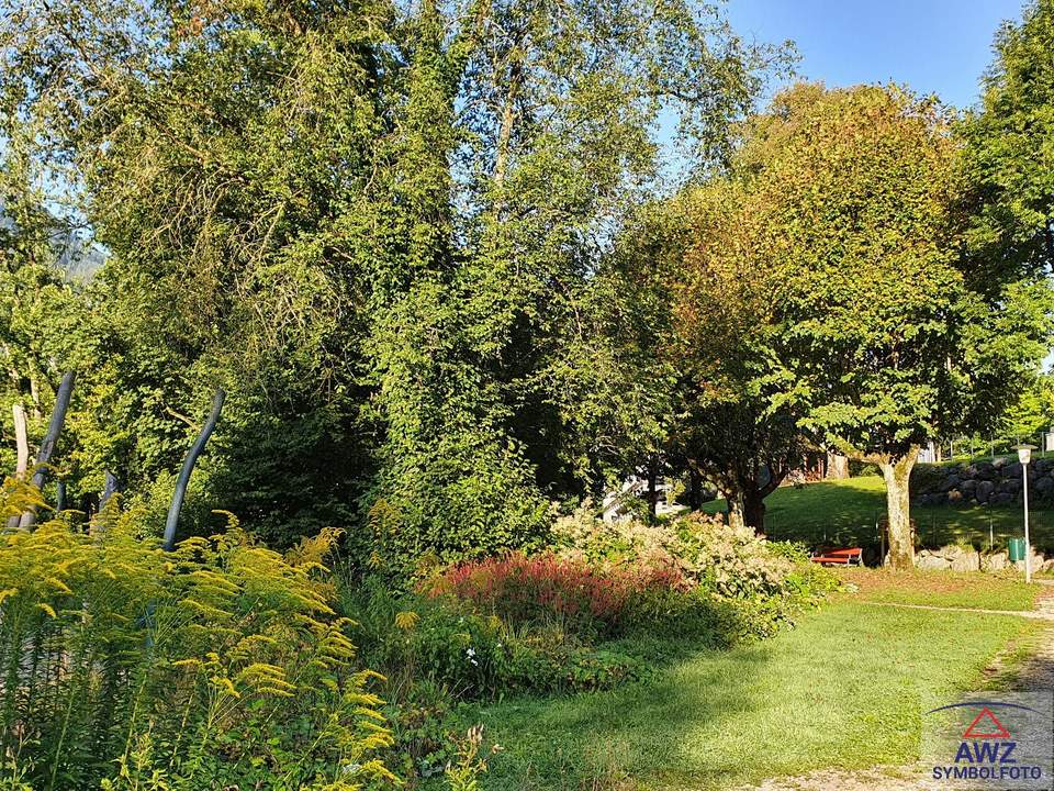 Fischteich mit Gartenhütte in idyllischer Lage zu verpachten