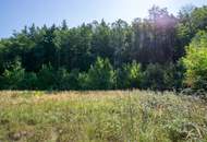Betriebsbaugrund im Ortszentrum Pressbaum/Tullnerbach