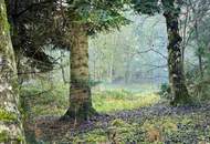 Haus im Grünen - ein märchenhafter Ort für neue Visionen