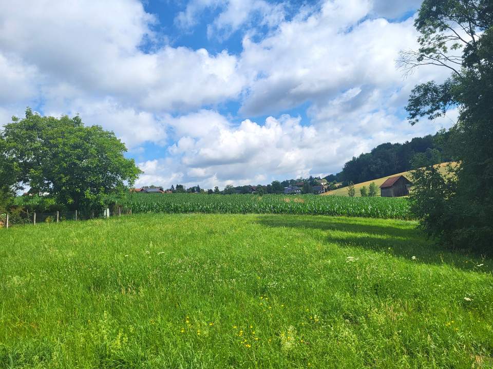 Idylle PUR! Kein Trubel - nur NATUR!