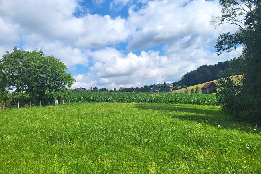 Idylle PUR! Kein Trubel - nur NATUR!, Grund und Boden-kauf, 265.000,€, 4421 Steyr-Land