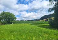 Idylle PUR! Kein Trubel - nur NATUR!