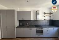 5-Zimmer-Büro in Krems-Stein mit Donaublick