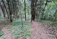 Waldgrundstück mit Altbestand in Amras