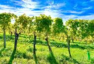 2-Zimmer Wohnung mit traumhaften Panoramablick inmitten der Weinberge von Klöch - Erstbezug!
