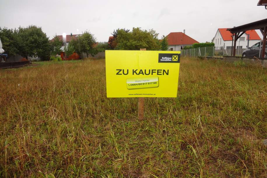 Aufgeschlossener Baugrund ohne Bauzwang in Purbach, Grund und Boden-kauf, 199.000,€, 7083 Eisenstadt-Umgebung