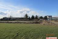 wunderschönes sonniges Baugrundstück mit Seeblick für Ihr Eigenheim am Neusiedlersee