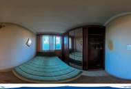 Alte Donau: Kleingartengrundstück mit Altbestand und Entwicklungspotenzial