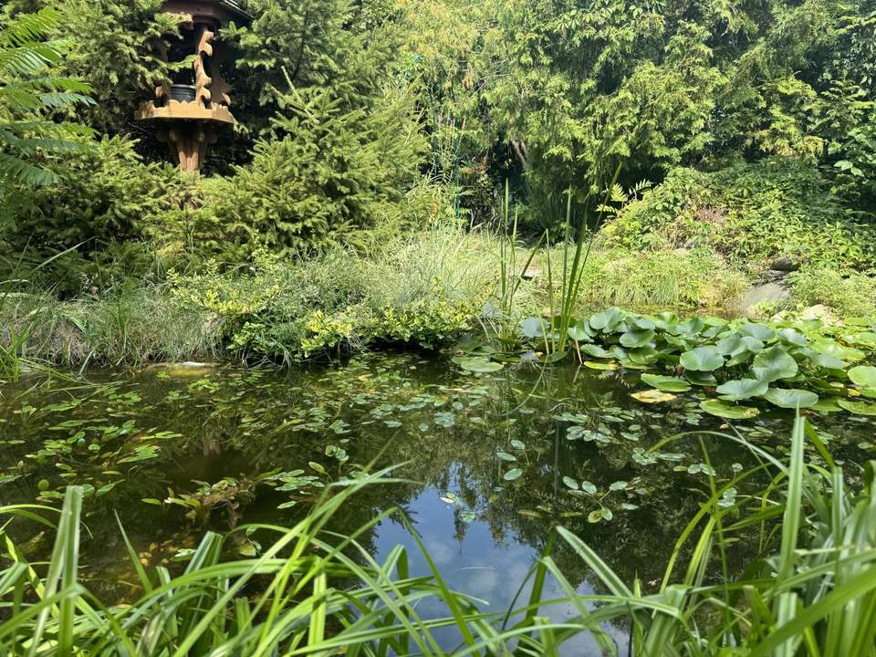 Ein kleines Stück Himmel auf Erden, Einfamilienhaus mit traumhaft schönem Garten // A little piece of heaven on Earth, detached house with beautif //