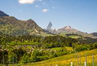 Sonniges Häuschen mit Weinstöcken in Südhanglage