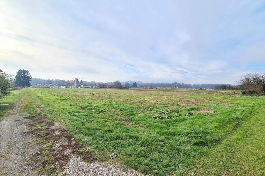 Sonniges und ebenes Baugrundstück samt bestehenden Bebauungsplan in sehr guter Ruhelage, Grund und Boden-kauf, 60.000,€, 8472 Leibnitz