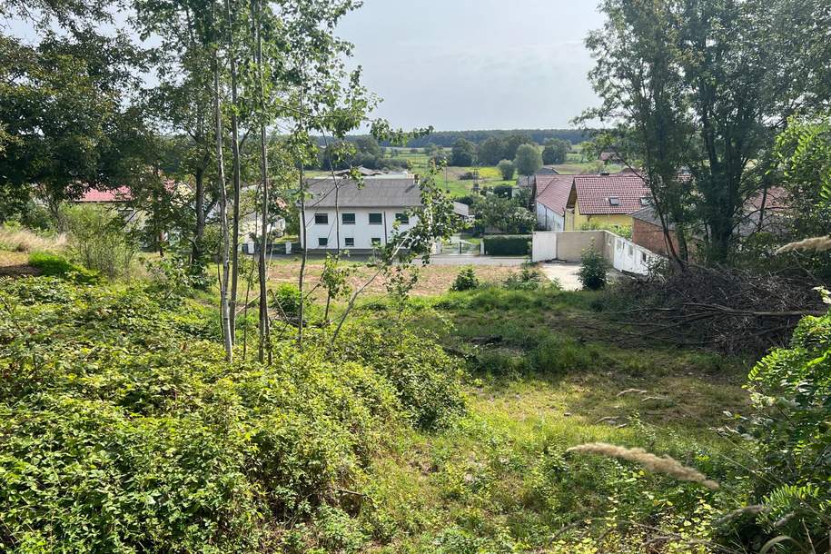 5.000 m² großes Baugrundstück mit Brunnen im SÜDBURGENLAND, Grund und Boden-kauf, 7522 Güssing