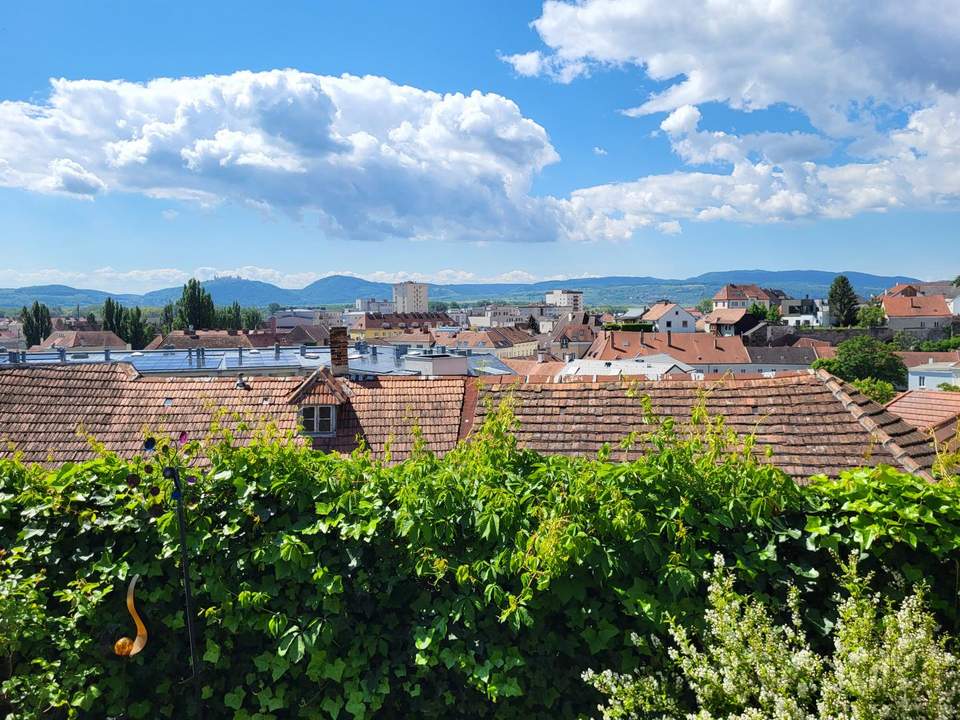 NEUER PREIS!!! WUNDERSCHÖNE GARTENWOHNUNG MIT GÖTTWEIGBLICK