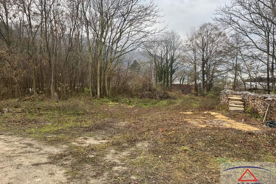 Großzügiges Betriebsareal mit ca. 4000 m²!, Grund und Boden-kauf, 200,€, 2560 Baden