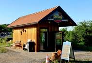 Ferienhaus in Neudorf im Sausal – Ihr Traumhaus wartet! (Provisionsfrei)