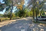STADT. NATUR. WEITBLICK. „Wohnen mit Weitblick über den Grünen Prater – Exklusive, kernsanierte Eigentumswohnung in der Böcklinstraße“