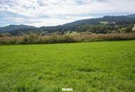 Gewerbegrundstück in Wiesenau