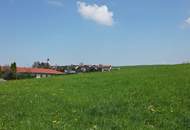 Attraktives Grundstück im Innviertel / Nähe Mattighofen