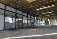 Industriehalle im Gewerbepark Sierndorf – 1.637 m² | Meisterkojen | Deckenkran | 30 Min. Wien