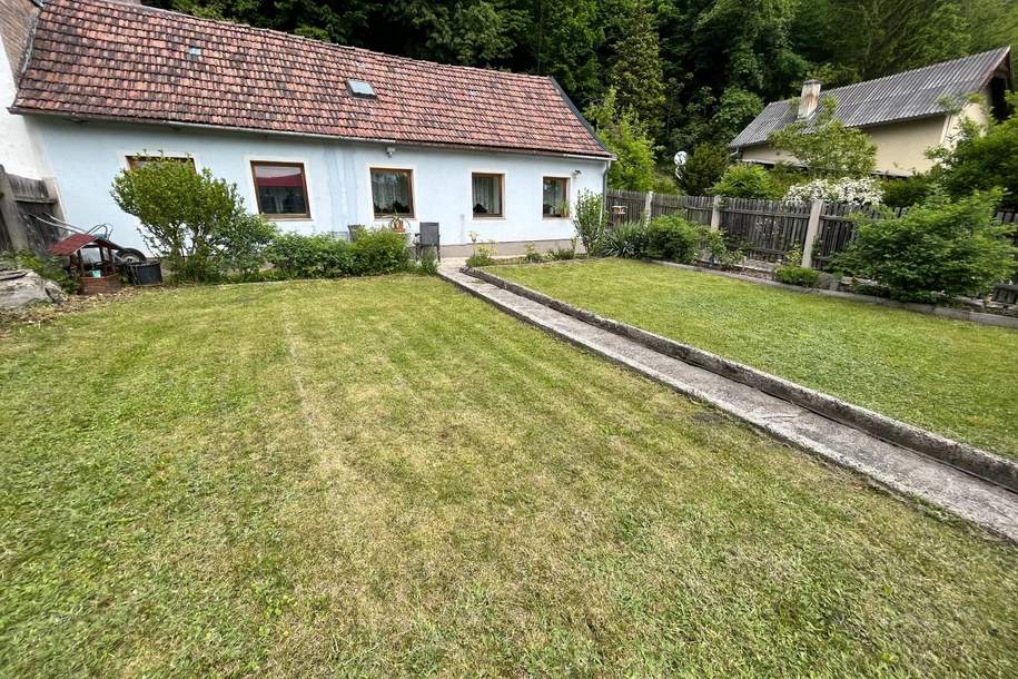 Kleines leistbares Einfamilienhaus mit vielen Besonderheiten, Haus-kauf, 99.000,€, 2640 Neunkirchen