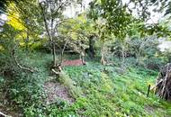 Natur pur! Grundstück mit Abrissobjekt!