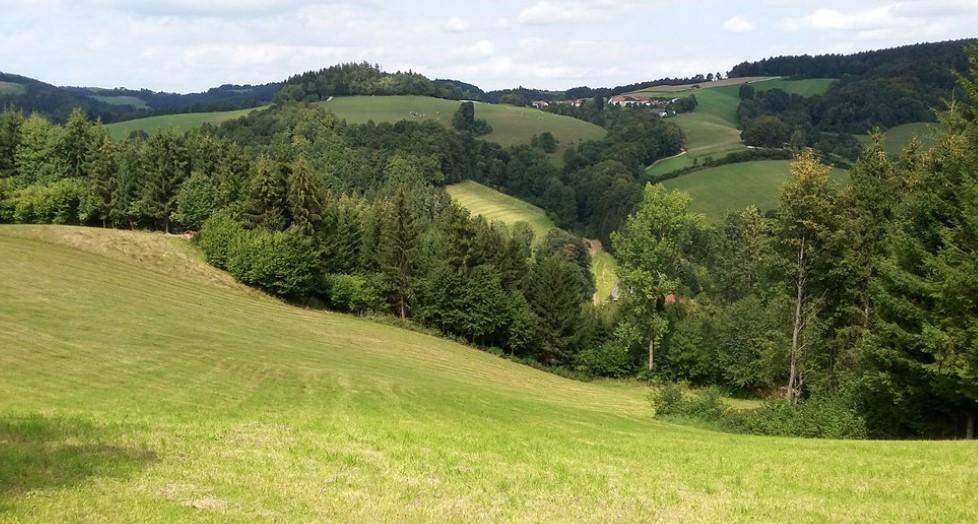 418.750 m² Wälder/Ackerland/Grünland - in der Buckligen Welt - Ihre Invenstition in Grund und Boden!