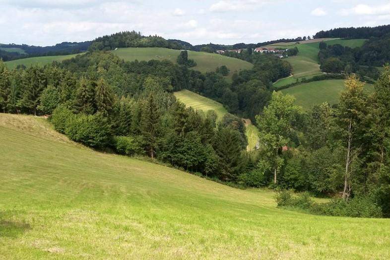 418.750 m² Wälder/Ackerland/Grünland - in der Buckligen Welt - Ihre Invenstition in Grund und Boden!, Gewerbeobjekt-kauf, 2860 Wiener Neustadt(Land)