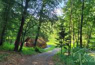 Naturparadies mit Fischteich, Fischerhütte und Wasserrechten - nahe Stadtschlaining