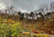 Time out am Wasser: Schwimmen. Radfahren. Laufen,.. ca.107 m2 mit Rooftop 31 m2 und Terrasse ca. 10m2