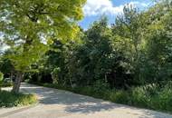 Im Norbert zu wohnen, heißt angekommen zu sein! Ihre Oase in Wien: Ruhige Sackgassenlage und moderner Wohnkomfort vereint