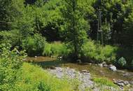 Natur, Wasser & Potenzial – Ehemalige FISCHZUCHT in ruhiger Alleinlage