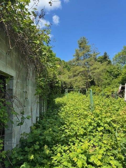 "1.053m² Baugrund BK I & II in Stadtteil Weikersdorf!"