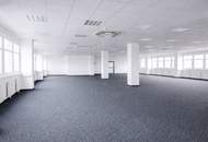 Kombination Lagerhalle 100 m2 + Büro 218 m2 südlich von Wien, in Wr. Neudorf