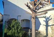 Herziges Hofgasslhäuschen mit Nebengebäude und Mini Garten