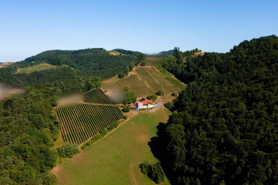"Privates Refugium mit Weitblick – 5 Hektar pure Lebensqualität", Haus-kauf, 1.349.000,€, 8453 Leibnitz