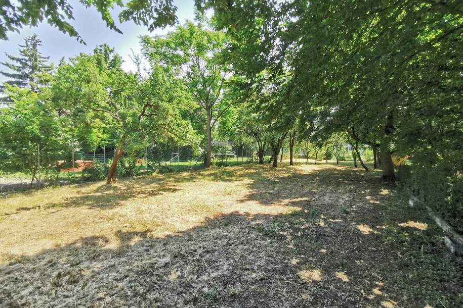 522m² Garten (kein Baugrund) mitten in Langenzersdorf, Grund und Boden-miete, 264,00,€, 2103 Korneuburg