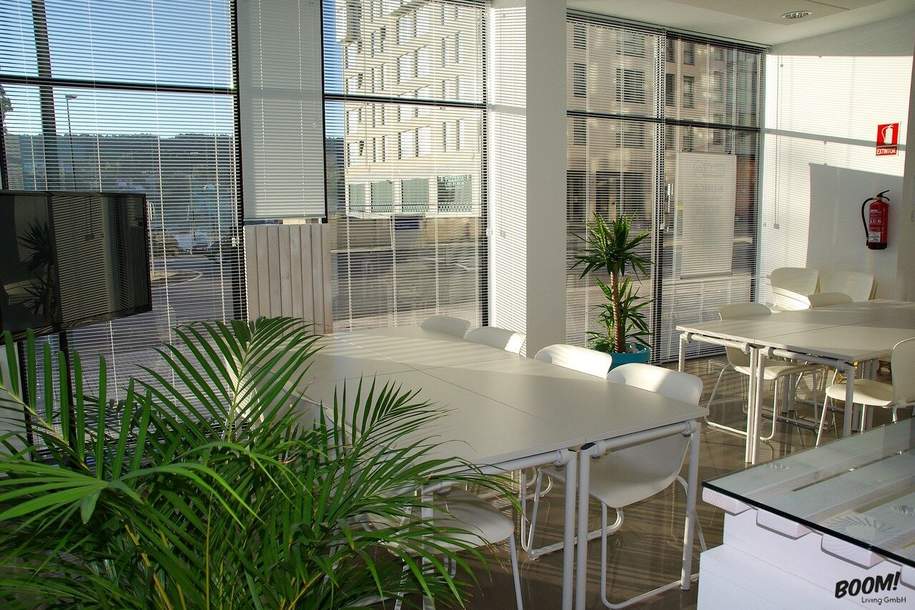 Attraktive Büroflächen in Güssing: 80m² - 300m², Gewerbeobjekt-miete, 440,00,€, 7540 Güssing