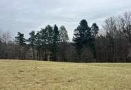 Baugrundstück in absoluter Ruhelage