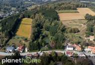 Direkte Thermennähe in Stegersbach – Traumobjekt mit Altbestand, Fischteich und Wald