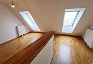 TERRASSENHIT, 61 m2 Dachgeschoß mit 48 m2 Terrasse, Wohnküche, 1 Zimmer, Wannenbad, Parketten, Fernblick, Holbeingasse
