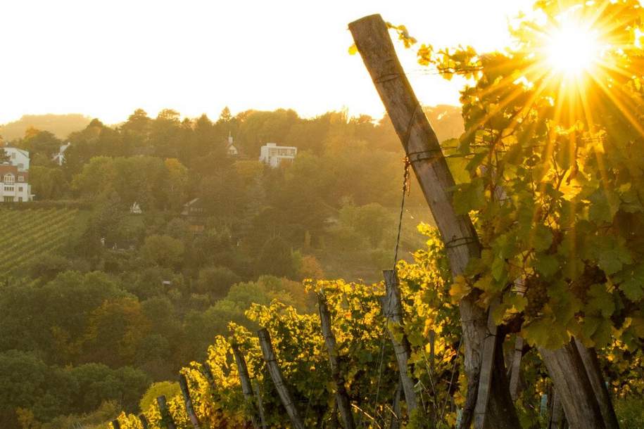 Erstbezug - Traumhaftes Penthouse mit Dachgarten und eigenem Pool, Wohnung-kauf, 4.490.000,€, 1190 Wien 19., Döbling