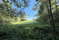 Erholung pur im eigenen Wald mit Bach und Wiesen nähe Amstetten