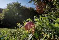 GRAFENSULZ - Das Besondere lieben - Typisches Weinviertler Bauernhaus – sorgfältig saniert, mit großem Garten in ruhiger Lage