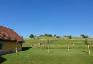 Verkaufe kleine Landwirtschaft im Südburgenland!
