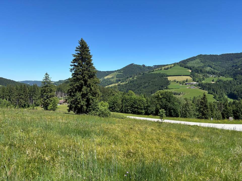 Grundstück in ruhiger Lage - Widmung Dorfgebiet